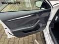 Skoda Octavia Combi RS First Edition HUD AD Navi Digitales Cockp Weiß - thumbnail 7