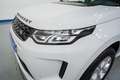 Land Rover Discovery Sport 2.0Si4 MHEV R-Dynamic S AWD Auto Blanco - thumbnail 10