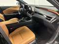 Lexus RX 450h 450H RX450h+ RECHARGEABLE 309ch E-CVT Executive - 1°main - 34000km - Origine FR Zwart - thumbnail 14