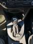 Volkswagen Caddy Caddy Kombi Cross 2,0 TDI DPF 4MOTION Cross Rot - thumbnail 4
