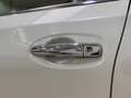 Nissan X-Trail X-Trail 1.6 DIG-T 2WD Tekna Wit - thumbnail 13