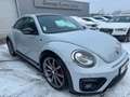 Volkswagen Coccinelle Coccinelle 2.0 TSI 220 BMT DSG6 R-Line Plateado - thumbnail 13
