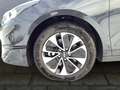 Kia Ceed / cee'd Ceed 1.0 T-GDI SW -Navi, Sitz HZ, el. Heckklappe- Grau - thumbnail 14