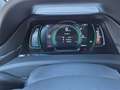 Hyundai IONIQ Ioniq Elektro 38kWh Level 5 Aut. Grau - thumbnail 19