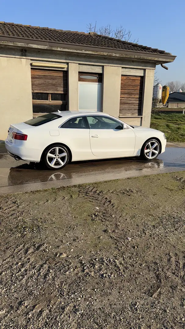 Audi A5 Coupe 3.0 V6 tdi quattro s-tronic - 1