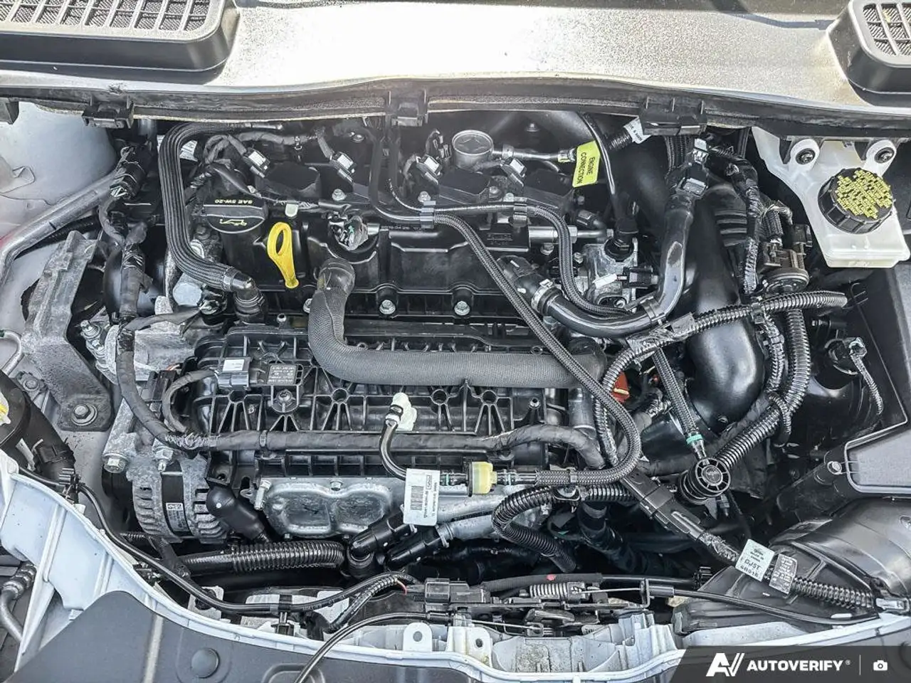 Ford Escape снимка Ford Escape