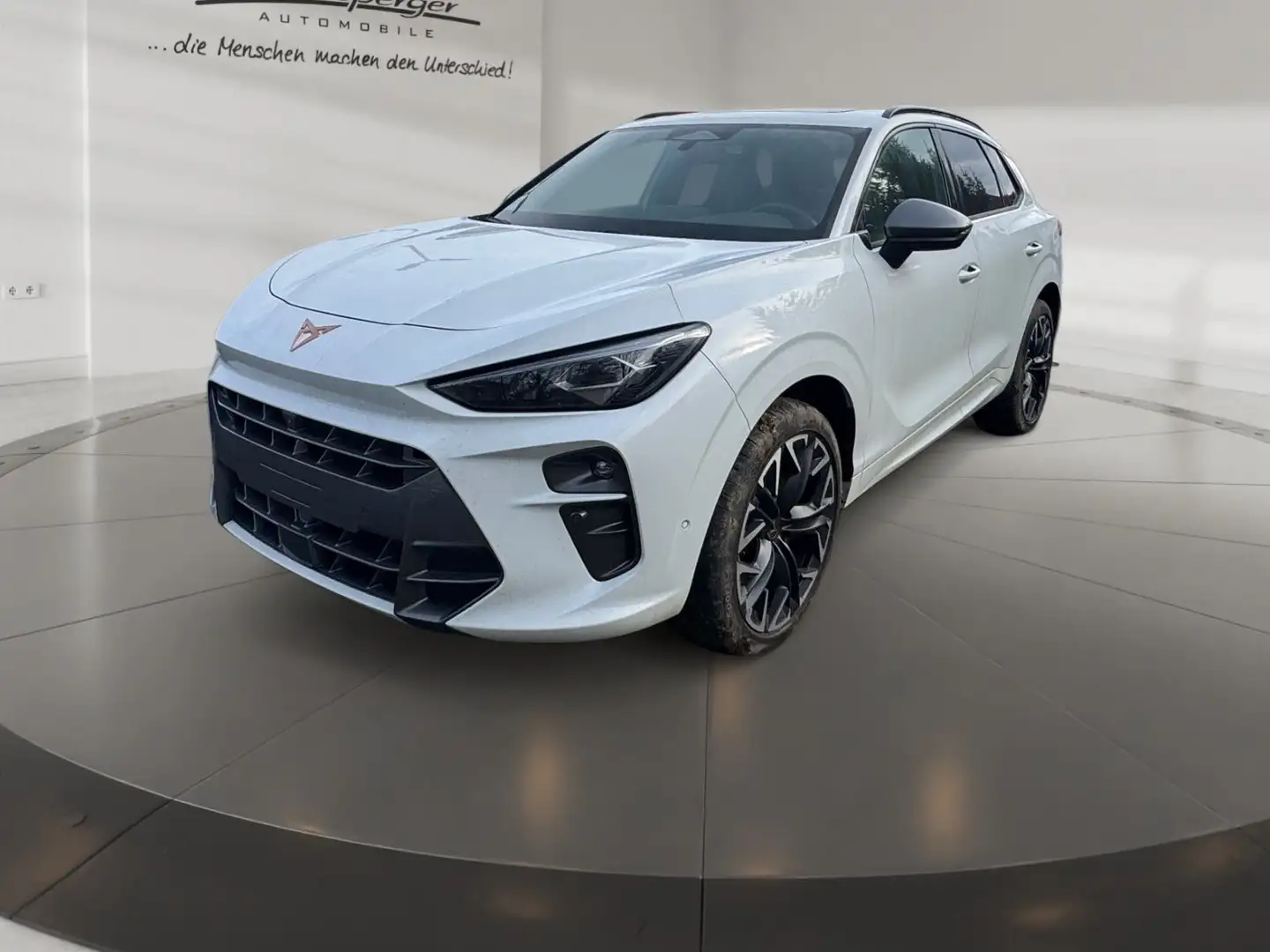 CUPRA Terramar VZ 2.0 TSI LED/AHK/360°/Headup/uvm. Weiß - 2