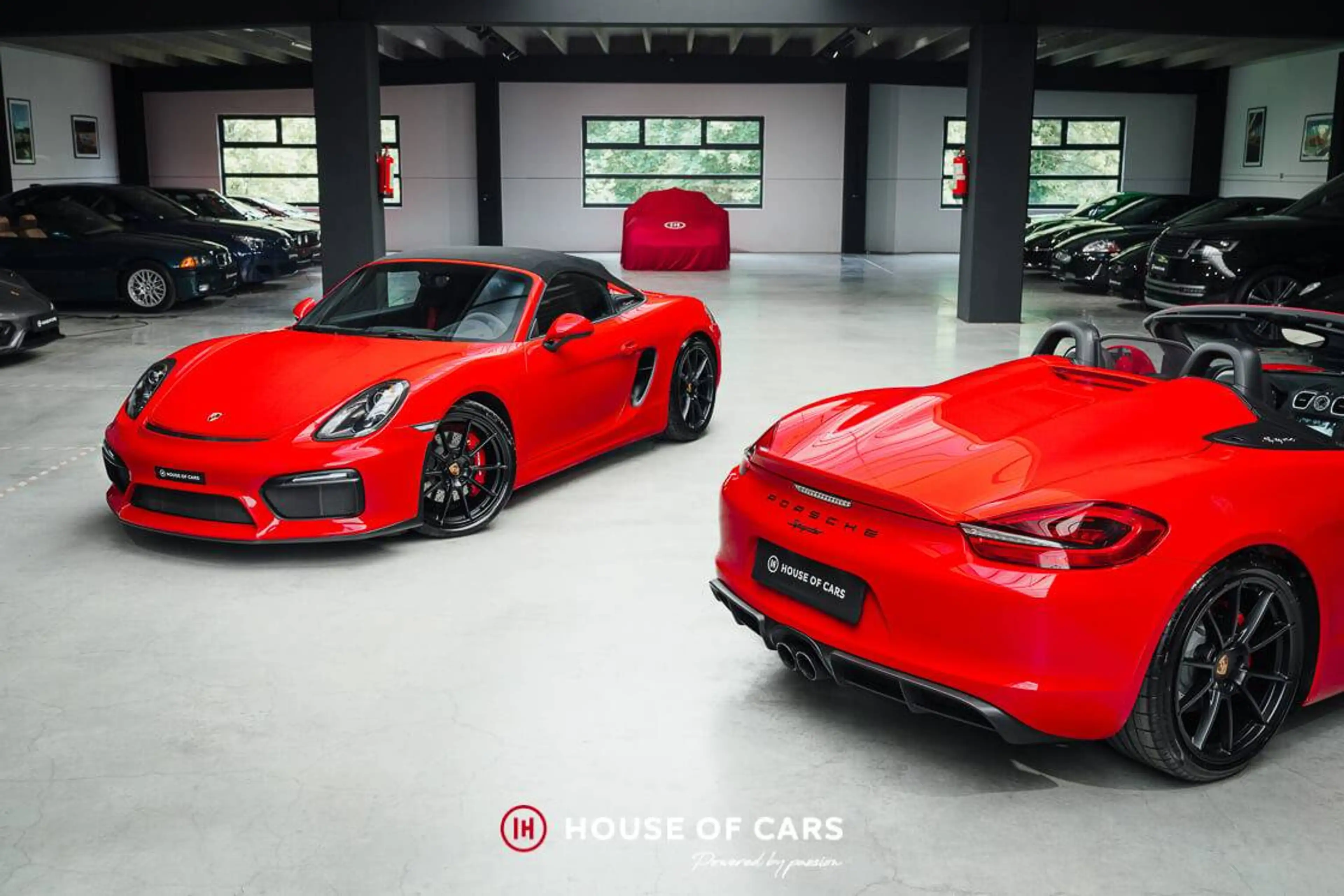 Porsche Boxster 981 Boxster Spyder - 1st paint - Low mileage - PPF