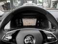 Skoda Kodiaq 2.0 TDI Style 4x4 Navi Alu AHK Kamera Gris - thumbnail 11