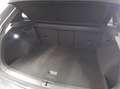 Volkswagen Tiguan R-Line TDi DSG 4M Seitenairbag hinten ACC Grau - thumbnail 5