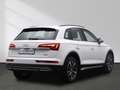 Audi Q5 advanced 40 TDI quattro S tronic Matrix AHK Blanc - thumbnail 3