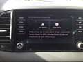 Skoda Karoq 1.5 TSI ACT Selection KAM e-Klappe Bluetooth Gris - thumbnail 10