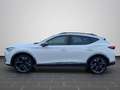 CUPRA Formentor VZ 2.0TSI 4Drive NAV  FULL-LED ACC SHZ Weiß - thumbnail 7