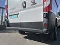 Fiat Ducato 33 L2H2 BlueHDi 103kW (140CV) - Blanco - thumbnail 21