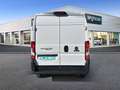 Fiat Ducato 33 L2H2 BlueHDi 103kW (140CV) - Blanco - thumbnail 5
