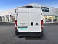Fiat Ducato 33 L2H2 BlueHDi 103kW (140CV) - Blanco - thumbnail 5