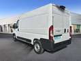 Fiat Ducato 33 L2H2 BlueHDi 103kW (140CV) - Blanco - thumbnail 6