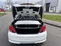 Peugeot 207 CC 1.6 VTi Roland Garros 120 PK. Prachtige en als Blanco - thumbnail 10