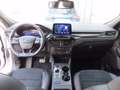 Ford Kuga 2.5 Plug In Hybrid 225 CV CVT 2WD ST-Line X Blanco - thumbnail 13