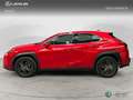 Lexus UX 300h + 4x2 + Rosso - thumbnail 3