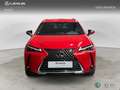 Lexus UX 300h + 4x2 + Rosso - thumbnail 5