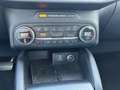 Ford Kuga 2.0 EcoBlue Vignale ACC HUD 4xSHZ LM Schwarz - thumbnail 16