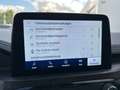 Ford Kuga 2.0 EcoBlue Vignale ACC HUD 4xSHZ LM Schwarz - thumbnail 20