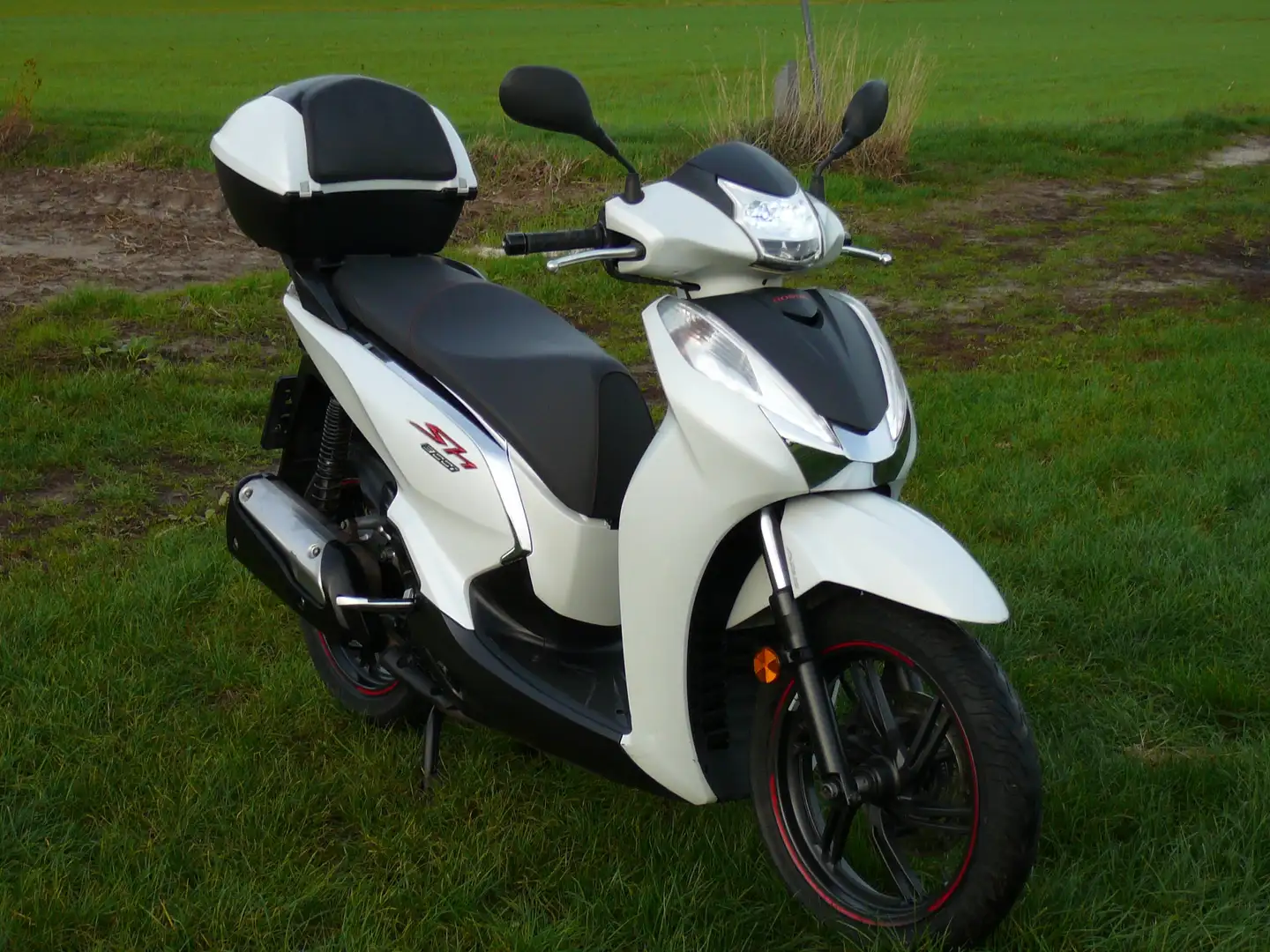 Honda SH 300 ABS Wit - 1