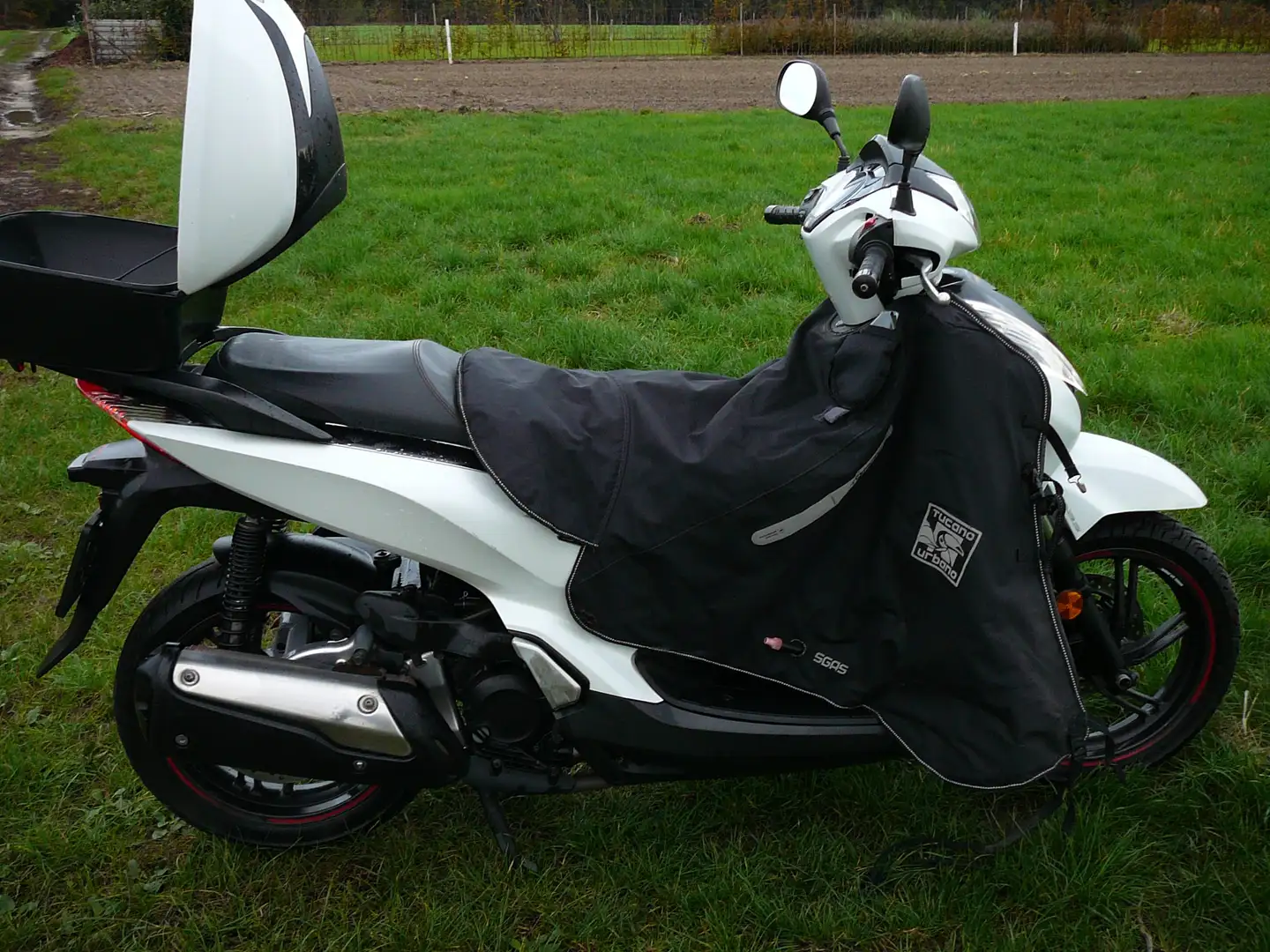 Honda SH 300 ABS Wit - 2