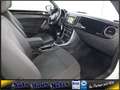 Volkswagen Beetle Cabrio 1,2 TSI Design Sound NaviTouch Sit Weiß - thumbnail 17