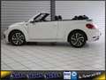 Volkswagen Beetle Cabrio 1,2 TSI Design Sound NaviTouch Sit Weiß - thumbnail 7