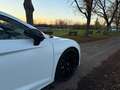 Audi R8 COUPE QUATTRO / OHNE OPF / INDIVIDUAL / RAUTE Weiß - thumbnail 9