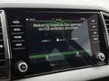 Skoda Karoq 1.5 TSI ACT Style | Camera | CarPlay | Digital Das Blauw - thumbnail 20