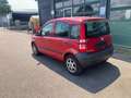 Fiat Panda 1.1 8V Active 14" LM Scheckheft Zahnriemen Neu Rot - thumbnail 8