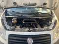 Fiat Scudo Pickerl 07/26 Mini Camper - thumbnail 5