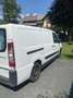 Fiat Scudo Pickerl 07/26 Mini Camper - thumbnail 2
