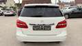 Mercedes-Benz B 180 B -Klasse B 180 CDI,Navi Wit - thumbnail 8