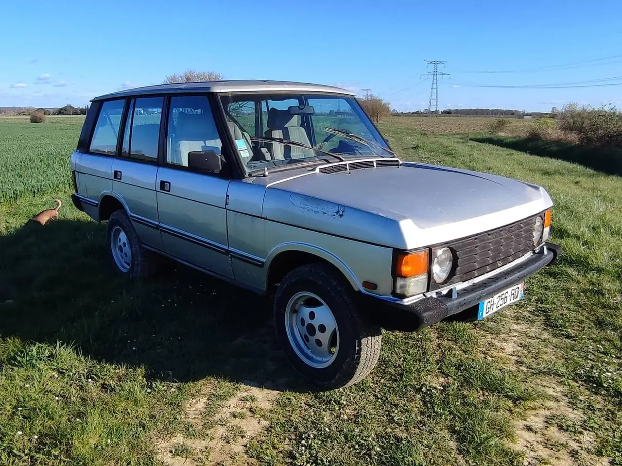 Land Rover Range Rover TD, foto 11