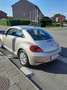 Volkswagen Beetle 1.2 TSI BMT - thumbnail 3