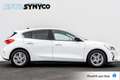 Ford Focus 1.0 EcoBoost Ed. Business | Sportstoelen | PDC | 1 Weiß - thumbnail 4