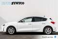 Ford Focus 1.0 EcoBoost Ed. Business | Sportstoelen | PDC | 1 Weiß - thumbnail 2