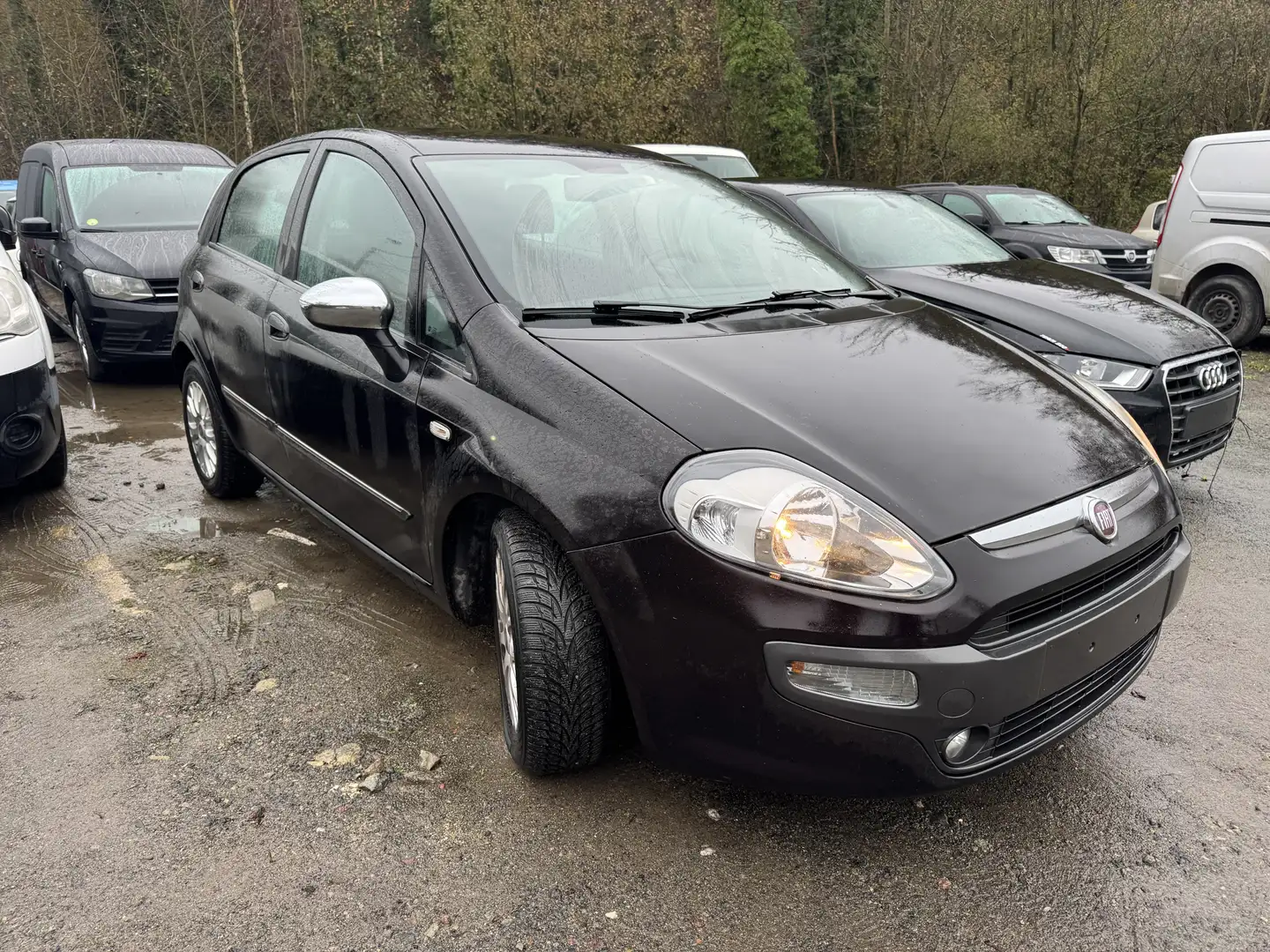 Fiat Punto Punto Evo 1.3 MultiJet Easy Stop Noir - 2