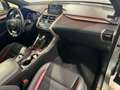 Lexus NX 300 NX 300h 2.5 F-Sport 4wd cvt TAGLIANDI LEXUS Gris - thumbnail 10