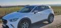 Mazda CX-3 CX-3 CD105 Challenge Challenge Weiß - thumbnail 4