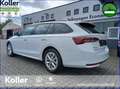 Skoda Octavia Octavia Combi 1.5 eTSI DSG Facelift Navi CAM GJR Blanco - thumbnail 7