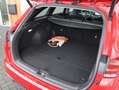 Kia Ceed SW / cee'd SW Sportswagon 1.6 GDI 140PK PHEV ExecutiveLine | Ful Rood - thumbnail 33