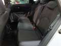 SEAT Leon ST 2.0TDI CR S&S FR Fast Edition Plus 150 Blanco - thumbnail 11