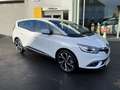 Renault Grand Scenic 1.33 TCe Bose Edition GPF (EU6.2) Wit - thumbnail 1