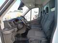 Ford Transit FT 350 L3 Chasis Trend Tr. Tra. 130 Blanco - thumbnail 13