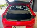 SEAT Leon 1.6TDI CR S&S Reference 110 Rojo - thumbnail 10
